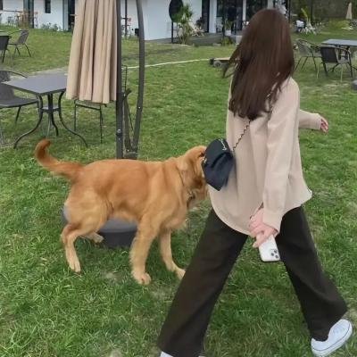 心迷宫